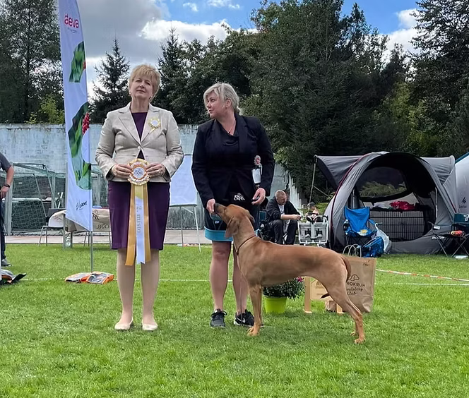 Jasper’s daughter at ČKRR Speciality & Club Show 23.-24.09.2023